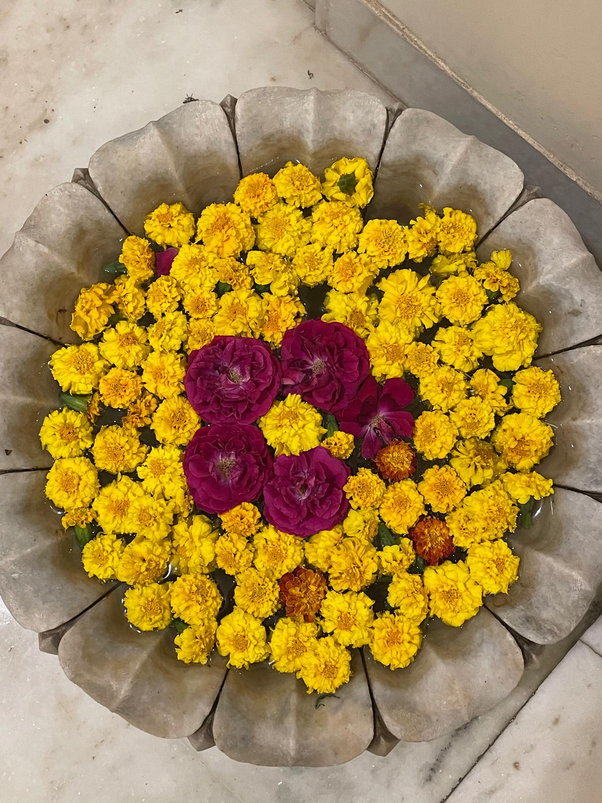 fleurs jaunes
